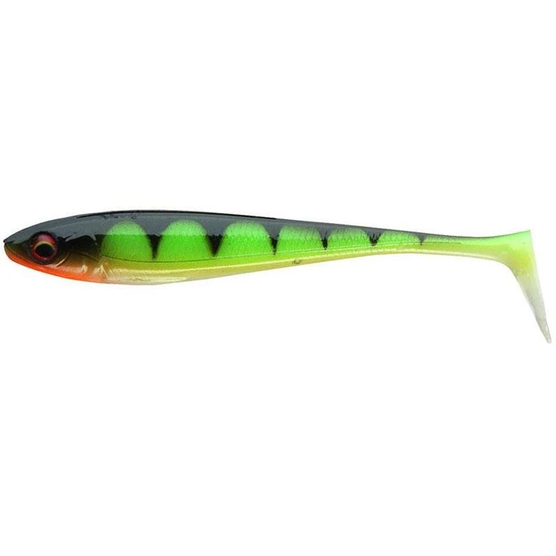 LEURRE SOUPLE DAIWA DUCK FIN SHAD - 20CM - PAR 2 1 LEURRE SOUPLE DAIWA DUCK FIN SHAD - 20CM - PAR 2
